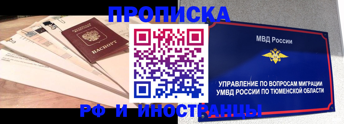 временная регистрация поиск в Курске